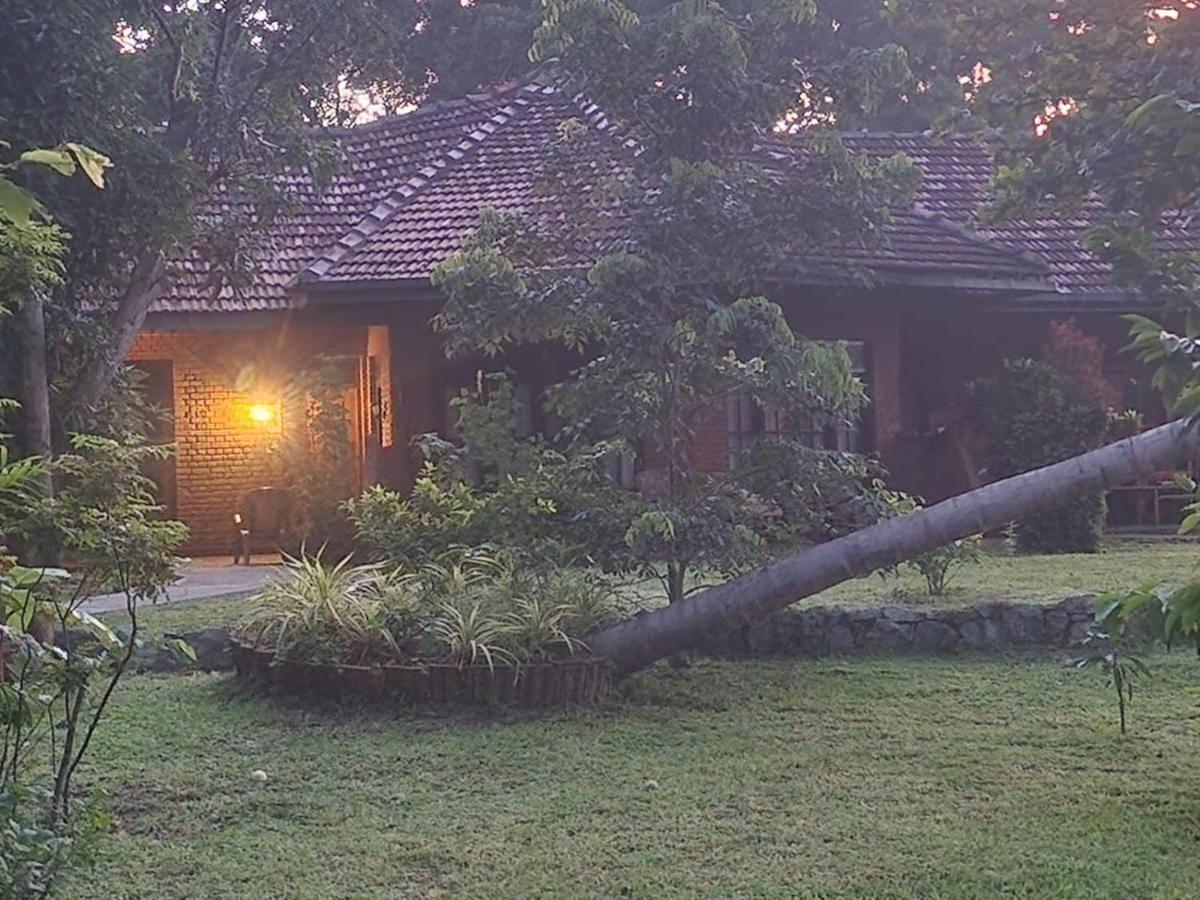 Sigiriya Cottage Екстериор снимка