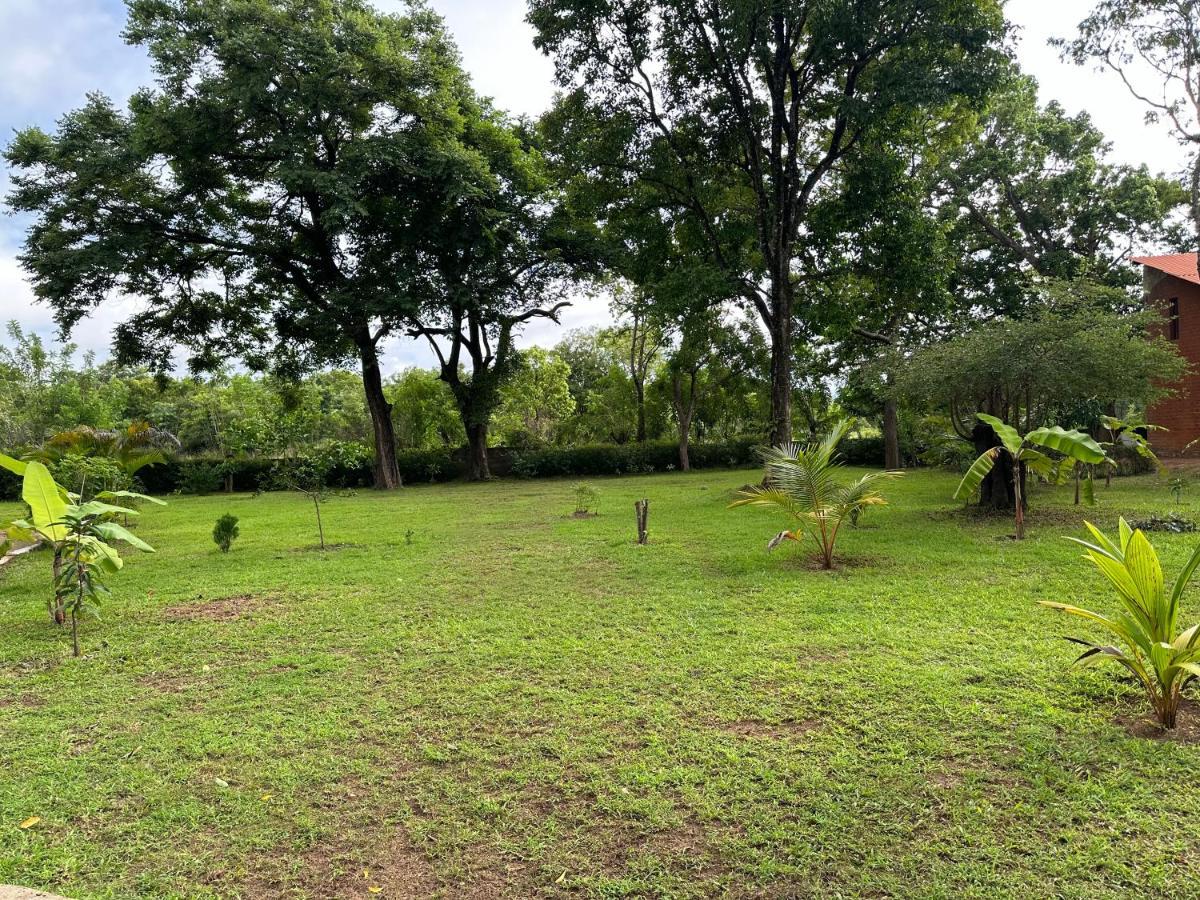 Sigiriya Cottage Екстериор снимка