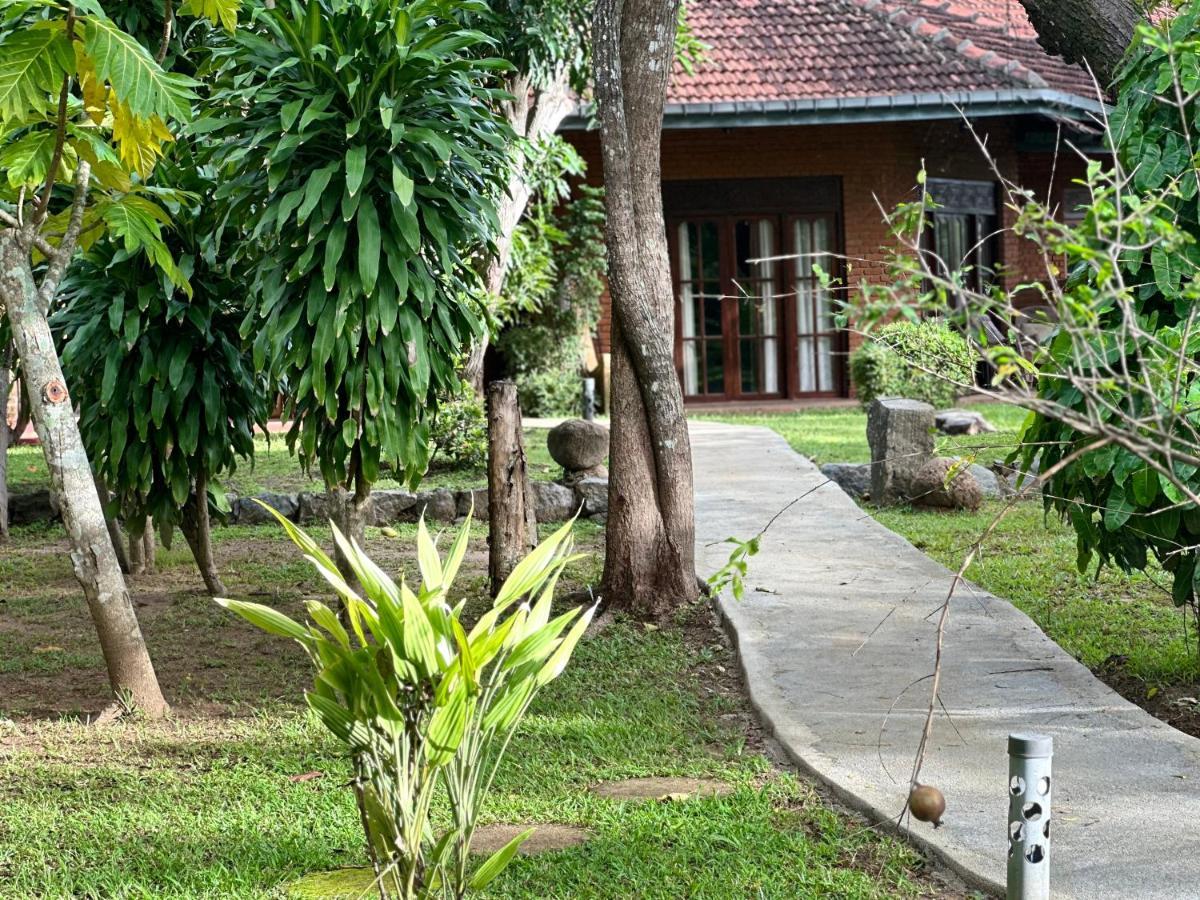 Sigiriya Cottage Екстериор снимка