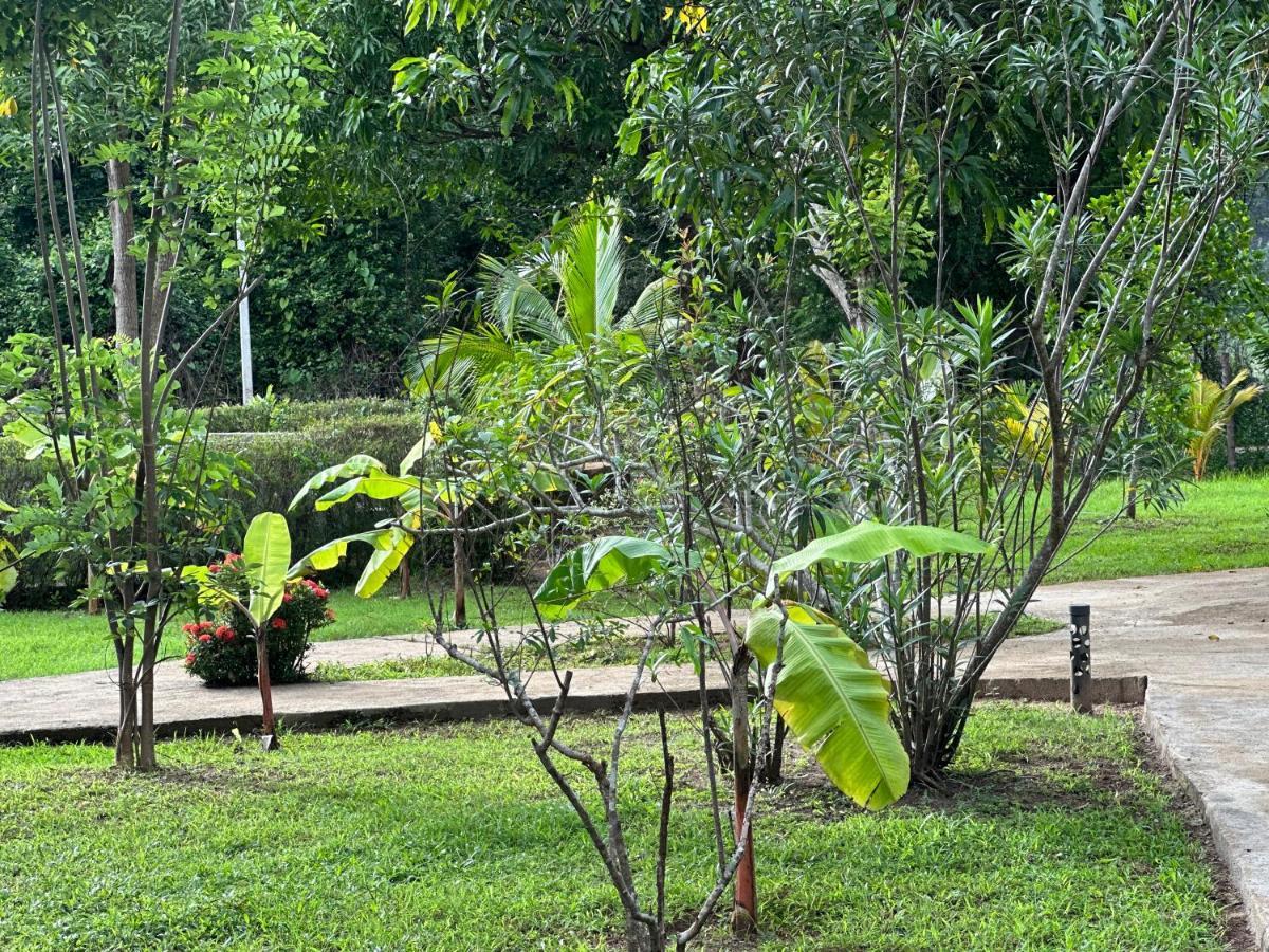 Sigiriya Cottage Екстериор снимка