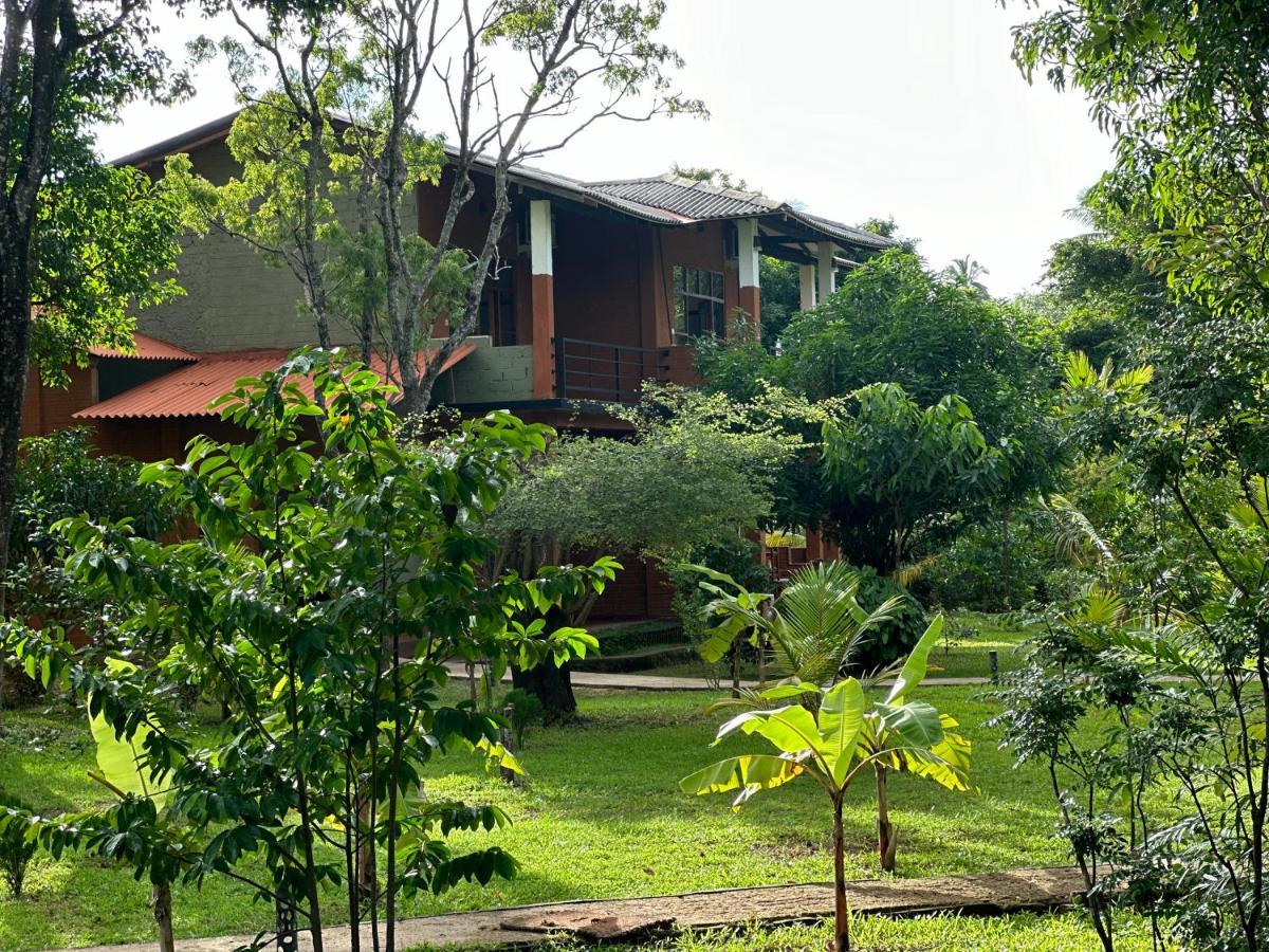 Sigiriya Cottage Екстериор снимка