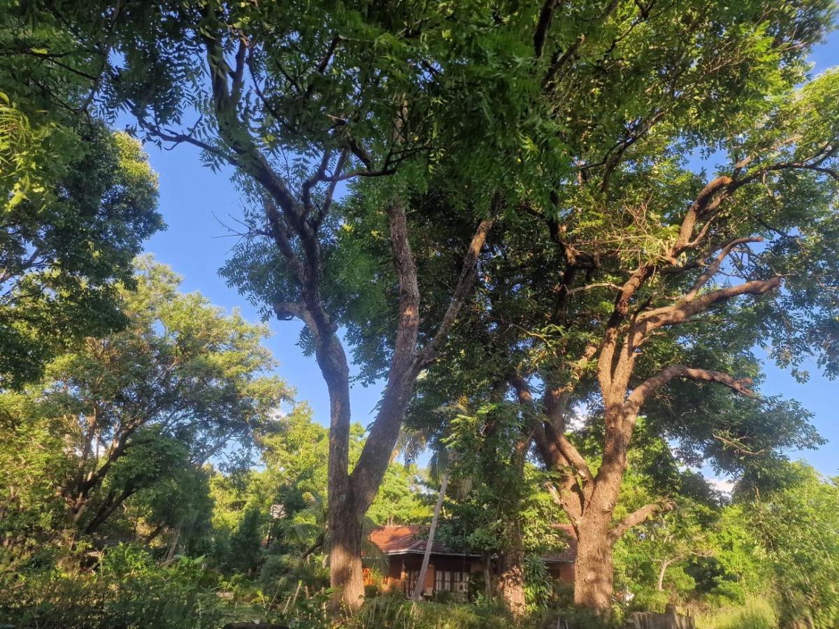 Sigiriya Cottage Екстериор снимка