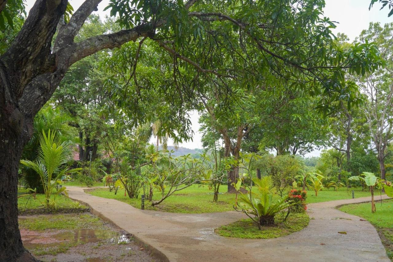 Sigiriya Cottage Екстериор снимка