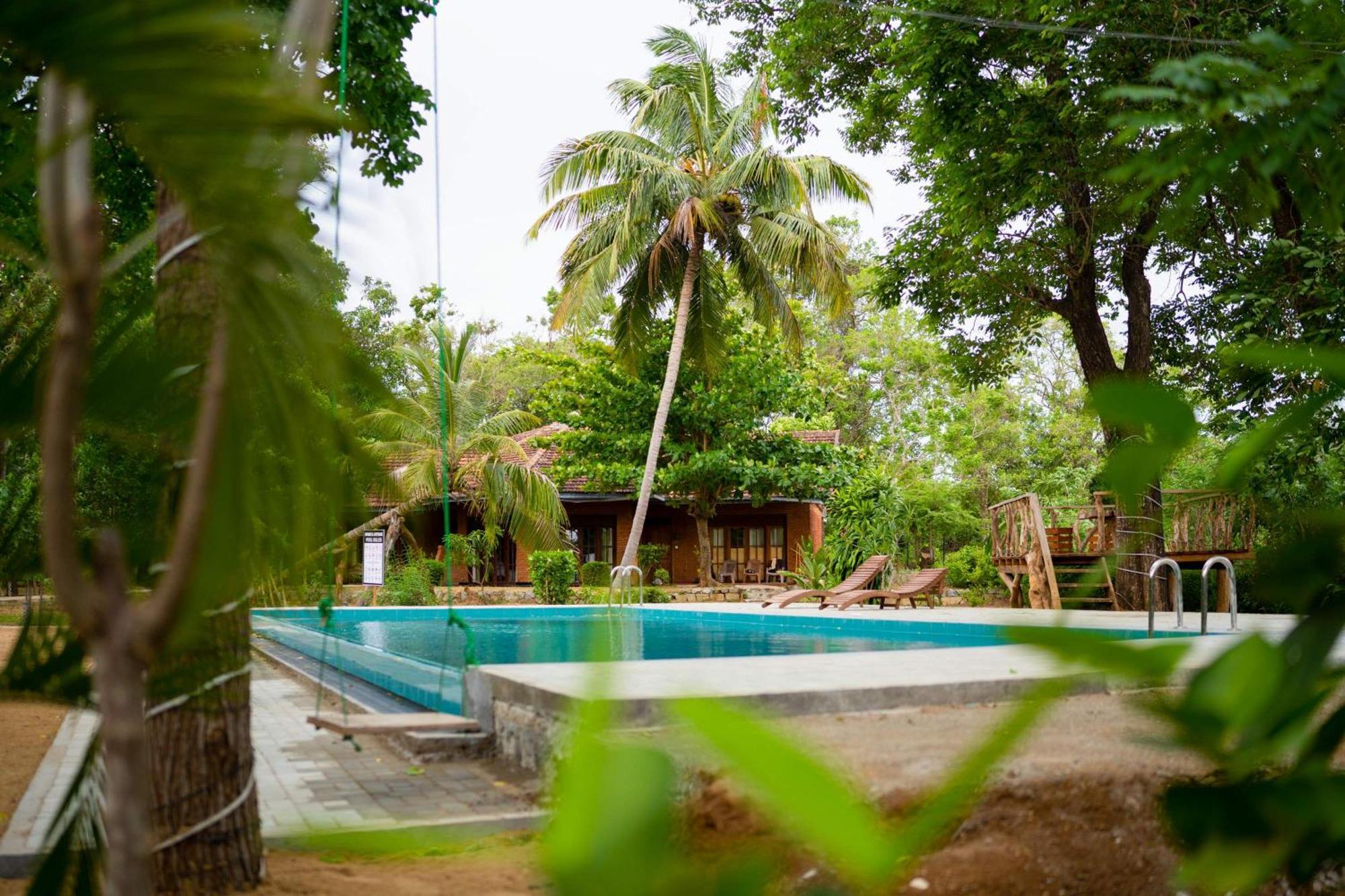 Sigiriya Cottage Екстериор снимка