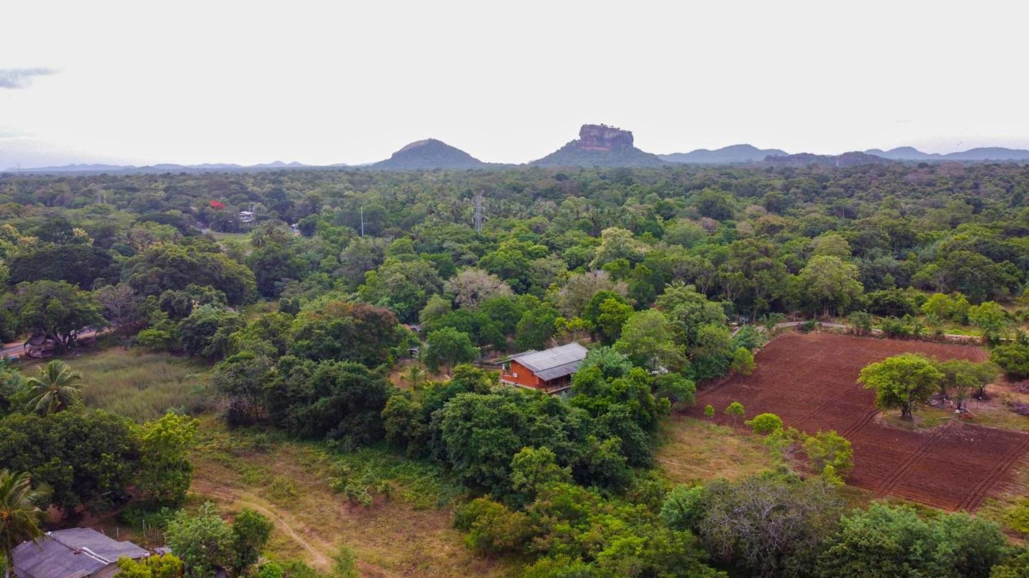 Sigiriya Cottage Екстериор снимка